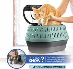 Petmate Dog Crates for Small Dogs & Cat Carriers, One-Door Plastic Pet Kennel, Front Loading, Made in USA