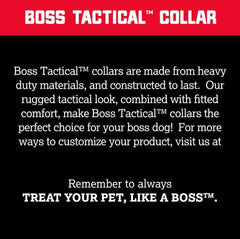 Boss Dog Tactical Adjustable Collar, Teal