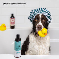 kin+kind Cat & Dog Conditioner with Shea Butter All-Natural Formula with Betaine & Aloe Moisturize & Restore Coat for Dogs and Cats Shed Defender & Coat Defense Pet Defender