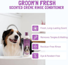 Bio-Groom Groom'n Fresh Dog Conditioner – Scented Dog Bathing Supplies, Puppy Wash, Cat & Dog Grooming Supplies for Sensitive Skin, Cruelty-Free, Made in USA, Tearless Dog Products – 12 fl oz 1-Pack