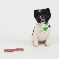 SPOT Bam-Bones Plus Branch -Bamboo Fiber & Nylon, Durable Long Lasting Dog Chew for Aggressive Chewers – Great Toy for Adult Dogs & Teething Puppies Under 60lbs, Non-Splintering, Beef Flavor