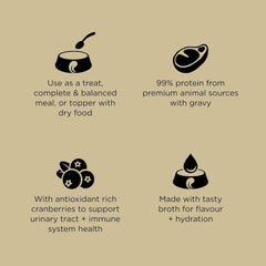 Go! Solutions Carnivore, Grain-Free, Protein Rich Wet Cat Food, Minced Lamb and Wild Boar Recipe, 6.4 oz