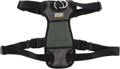 Coastal Pet Walk Right Front-Connect No-Pull Padded Dog Harness - Adjustable & Comfortable Dog Harness - Small & Large Breed Fit - Quality Pet Supplies - Black