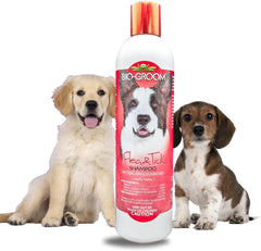 Bio-Groom Flea & Tick Dog Shampoo – Flea and Tick Prevention for Dogs, Cat Flea Treatment, Cruelty-Free, Made in USA, Natural Tick Repellent, Protein-Lanolin Shampoo