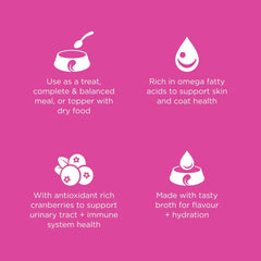 Go! Solutions Skin + Coat Care, Grain-Free Wet Cat Food, Minced Chicken with Gravy Recipe for Sensitive Skin, 6.4 oz