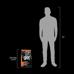 Go! Solutions Skin + Coat Care, Dry Dog Food, Salmon Recipe with Grains