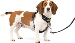 PetSafe Easy Walk Comfort No-Pull Dog Harness Full-Body Padding - Better Walks on The First Use - 5 Points of Adjustment , Black