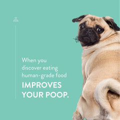 Portland Pet Food Company Pumpkin Brew Biscuit Dog Treats (1 Pack, 5 oz Bag) – All Natural, Human-Grade, USA-Sourced and Made, CRAFTED BY HUMANS LOVED BY DOGS