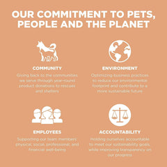 Go! Solutions Digestion + Gut Health, Dry Dog Food, Salmon Recipe with Ancient Grains