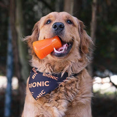 BIONIC Treat Shaker Dog Toy, Large - Interactive Dog Chew Toy That Stands Up to The Toughest Chewers