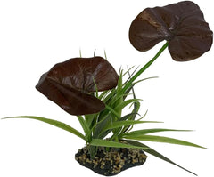 Multi Pet 48593204: Komodo Rainforest Canopy Plant, 10In
