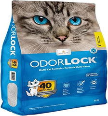 Intersand - OdourLock Unscented Ultra Premium Cat Litter - Blocks Ammonia for 40 Days, Quick Absorption, Dust-Free, Extra-Hard Clumping, Multi-Cat Friendly, Made in Canada, Easy Maintenance