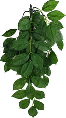 Multi Pet 48593303: Komodo Green Leaf Hanging Plant, Sm