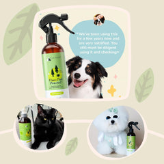 kin+kind Plant-Based Flea & Tick Spray for Dogs and Cats with Lemongrass - Essential for Flea & Tick Treatment - Flea Spray for Dogs and Cats - Pet Supplies
