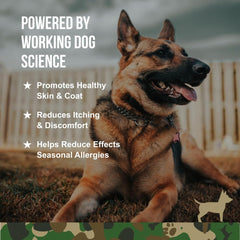 O.G.B. Operation Good Boy - SRE: Skin/Coat/Allergy Supplement for Pets - 90 Count Soft Chews - 12.7 oz - Made Natural Ingredients - Veteran Owned