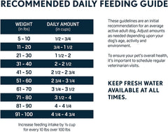 Next Level Super Premium Dog Food – Grain Free Salmon River – Dry Kibble for Dogs at All Life Stages of All Breeds – 28% Protein, Fish and Sweet Potato, Gluten Free Grains