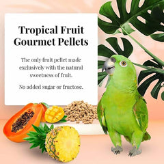 LAFEBER'S Tropical Fruit Gourmet Pellets Pet Bird Food, No Added Sugar, Made with Non-GMO and Human-Grade Ingredients, for Parrots