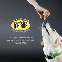 Get Joy Joint+ Hip & Joint Care Dog Supplement, 90 Soft Chews, Chicken Flavor – Supports Mobility with Green-Lipped Mussels, PhD Animal Nutritionist Formulated, Made in The USA.