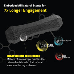 Playology Squeaky Chew Stick Dog Toy