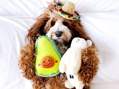 ZippyPaws NomNoms Plush Avocado Dog Toy