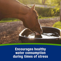 Farnam Apple Elite Horse Electrolyte Paste – 60 cc