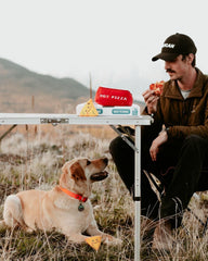 ZippyPaws Burrow for Small & Medium Dogs- Pizza Box