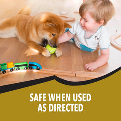 Bengal® Gold Roach Spray – 11oz