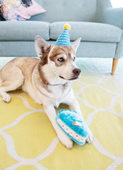 ZippyPaws - Birthday Blue Box Gift for Dogs and Puppies - 3 Pack