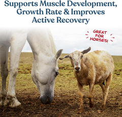 Manna Pro® Calf-Manna® – 10 lb Multi-Species Performance Feed