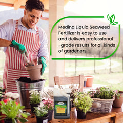 Medina® Liquid Seaweed