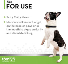 Tomlyn Nutri-Stat Malt-Flavored High Calorie-Nutritional Gel for Dogs & Cats, 4.25oz
