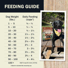 Redbarn® Air Dried Beef Recipe Dog Food