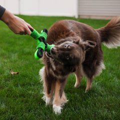 Jolly Pets® Tik Tak Tugzz Rope Dog Toy