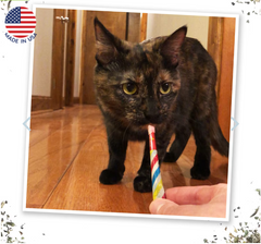 SMARTERPAW Meowijuana Birthjays Party Sized Catnip Joints 6 ct