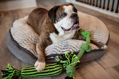 Jolly Pets® Knot-N-Chew (3 Knot) – Dog Toy