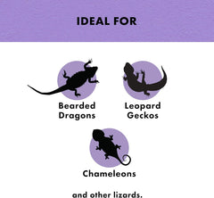 Zilla Reptile Munchies, Mealworms, All-Natural, Dehydrated Mealworms, Ideal for Bearded Dragons, Leopard Geckos, Chameleons and other lizards, Resealable Bag