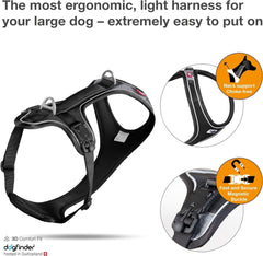 Curli Magnetic Belka Comfort Harness Black