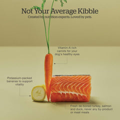 Now Fresh Grain-Free Dry Puppy Food with Turkey, Salmon & Duck, Healthy Kibble for Growing Dogs with Real Meat & Fish, Chicken-Free, Enhanced with Pumpkin & Probiotics for Good Digestion, 22 lb Bag