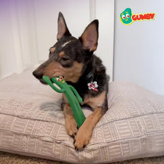 Multipet Gumby Latex Dog Toy - Squeaky Toy for All Dogs - Easy-to-Clean Dog Squeaky Toys - for Cuddling, Chewing & Playing - Cute Pet Toy (9", Green)