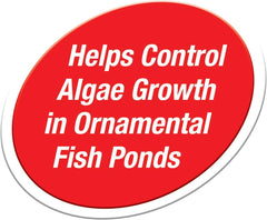 Tetra Pond Fountain Block 6 Count, Controls Algae Growth In Ornamental Fountains