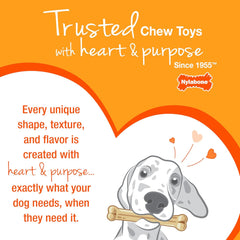 Nylabone Textured Dental Bone Flexi Chew Toy for Dogs, Dog Toys for Moderate Chewers, Chicken Flavor