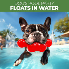 SPOT ethischen Pets Trident 6 Spielzeug, 15,2 cm, Rot