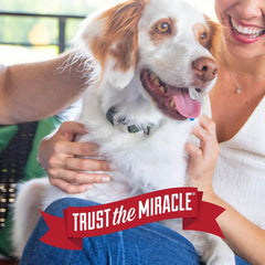 Nature's Miracle Advanced Platinum Stain and Odor Remover and Virus Disinfectant, 32 Ounces, Disinfects and Cleans