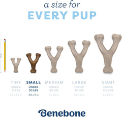 Benebone Puppy Wishbone Dog Chew Toy, Made in USA, Real Bacon Flavor