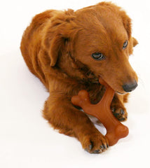 Nylabone Gourmet Style Wishbone Strong Chew Toy for Dogs, Bacon Flavor