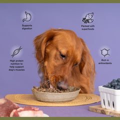 Superfood Complete, Air-Dried Adult Dog Food - High Protein, Zero Fillers, Superfood Nutrition by Katherine Heigl (Beef & Bison Formula)