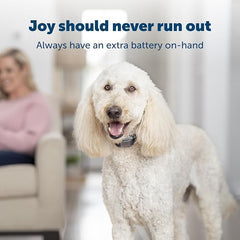 PetSafe RFA-188 3 Volt Replacement Battery Module - Compatible 3V Lithium Battery-Operated Collars for Cats and Dogs - (RFA 188)