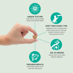 ARK NATURALS Breath Bursts Brushless Toothpaste Dog Treats, Dog Dental Bits for Small Breeds, Unique Texture Helps Clean Teeth & Freshen Breath, Peppermint