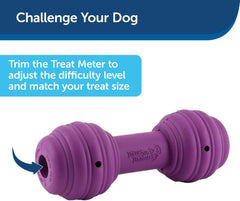 PetSafe Busy Buddy Chuckle Sound Dog Chew Toy - Treat Dispenser, BB-CHK, Purple,Medium/Large