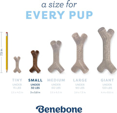 Benebone Puppy Maplestick Dog Chew Toy, Made in USA, Real Maple Wood Flavor, Small, Brown
